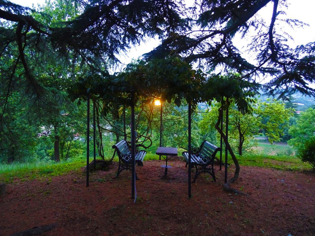 La Celestina Bed and Breakfast Piana Crixia Eksteriør billede